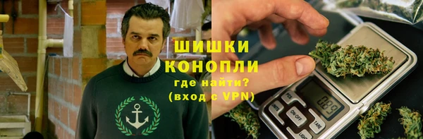 индика Наволоки