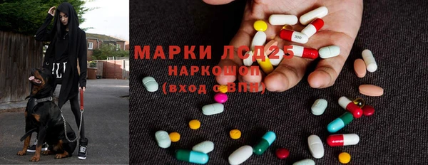 таблы Надым