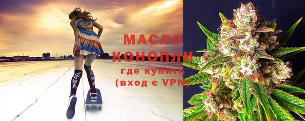 индика Наволоки
