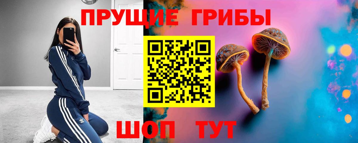 Псилоцибиновые грибы Cubensis Тольятти